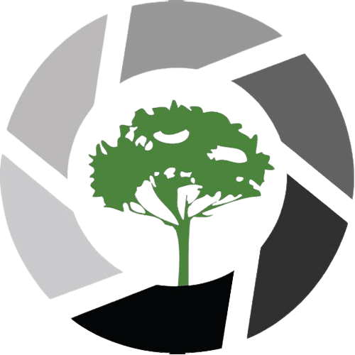 Green-Production-Guide_Scriptation-Nation_Paperless-APp--2030